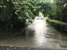 全南两房 全明户型 自住事宜 高区视野开阔 采光阳光好