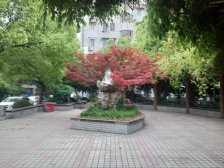 低总价大一房 近万达 近19号线 诚意出售!!