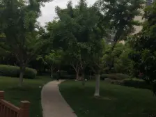 10号线地铁2000年电梯一房,诚意出售。