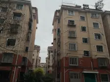 龙柏四村 1室1厅 南