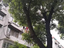 近地铁,产权清晰 精装,无抵押,新上房源