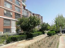 黄村·首座御园二期2号院·1室·1厅
