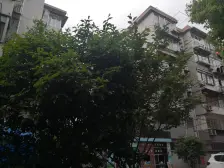 近地铁,随时看房,刚需上车 必看好房