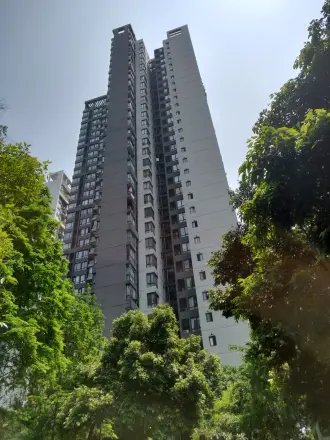 鲁能星城九街区实景图