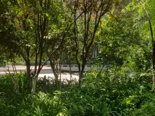 龙头寺 鲁能星城九街区二房