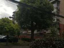 龙柏·龙柏四村·1室·1厅