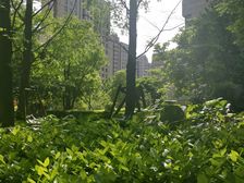 北蔡·大华锦绣华城十五街区·2室·2厅