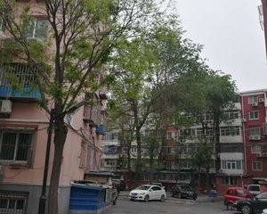 北京南站旁,烟草局宿舍,精装双卧朝南,有电梯