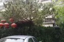 角门甲4号院实景图