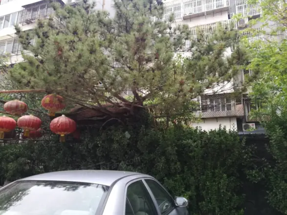 角门甲4号院实景图