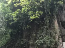 大坪医院旁两房看房方便,大坪轻轨站步行500米