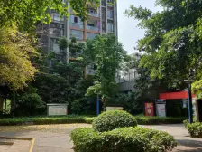 龙头寺 鲁能星城九街区三房150万