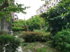 北蔡·鹏海西区一梯2户双南全明户型满5年位置安静