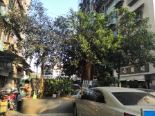 观音岩 纯阳洞小区一房45万