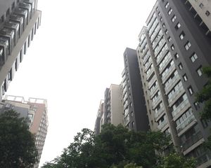 香樟雅郡3室2厅南北