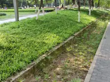 公园置尚云尚 2室1厅 西南