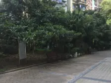 剑桥,房子比较新,户型方正,正规两室下楼就是巴属