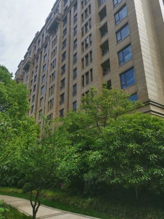 大华锦绣华城第14街区实景图
