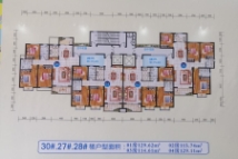 禾水·滨江壹号户型图01