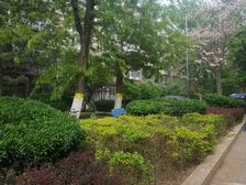满五年唯一,南北向两居室,阳光充足,户型好,近公园