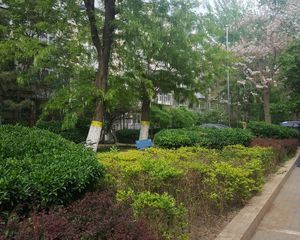 团结湖中路南二条2室1厅东北