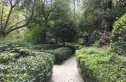 沙河北岸实景图