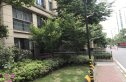汉阳人信汇二期实景图
