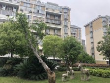 纯别墅小区,偏离飞机航道,联排别墅,总价低