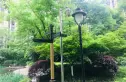 绿地国际花都一期实景图