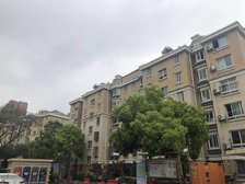 随时看房无抵押毛坯新上房源