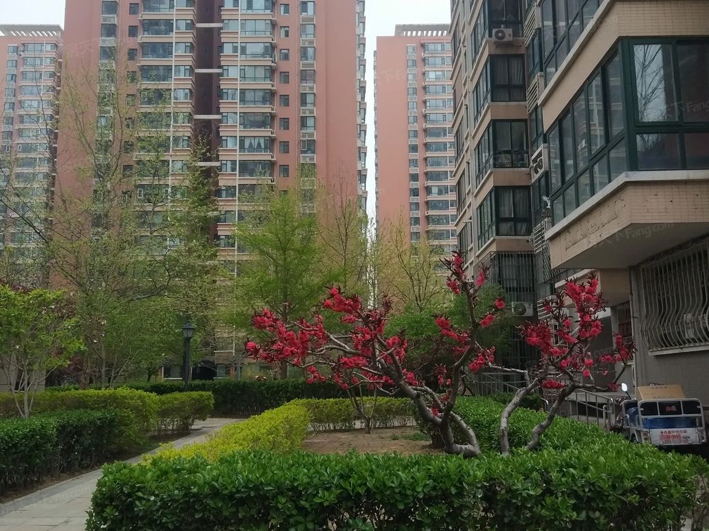 小区相关图