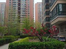丽水嘉园小区中间位置3居优质房源满五唯一诚售
