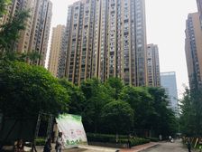 绿地国际花都三期1室1厅东南