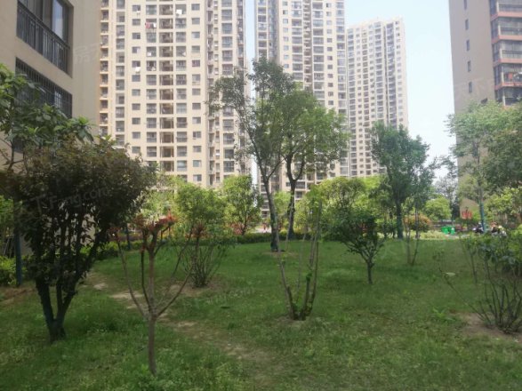 福晟滨江国际实景图