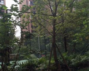 宏达世纪丽景4室2厅南