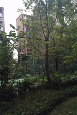 宏达世纪丽景实景图