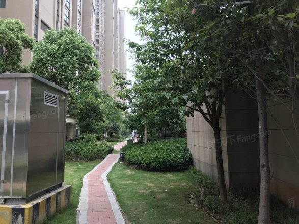 汉阳人信汇二期实景图