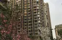 宋都南郡国际实景图