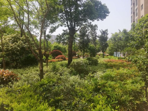 福晟滨江国际实景图