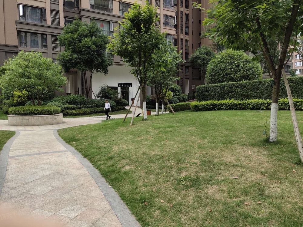 小区相关图