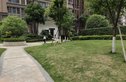 保利叶语实景图