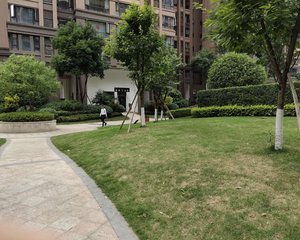 保利叶语2室1厅东