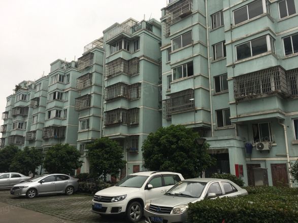 藕池绿荷苑实景图