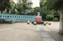 沙河北岸实景图
