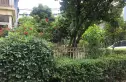沙河北岸实景图
