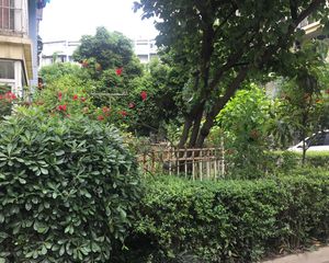 沙河北岸 2室2厅 东南