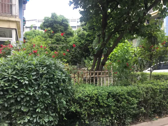 沙河北岸实景图
