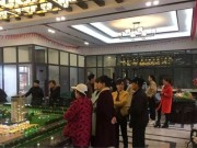 津市鸿鹰星都