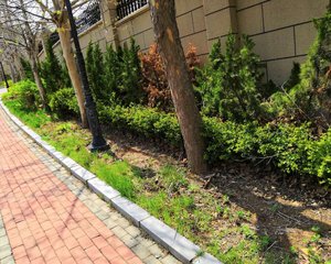 旅顺中路西郊公馆独栋精装修一天没住拎包入住