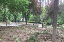 熙悦春天实景图